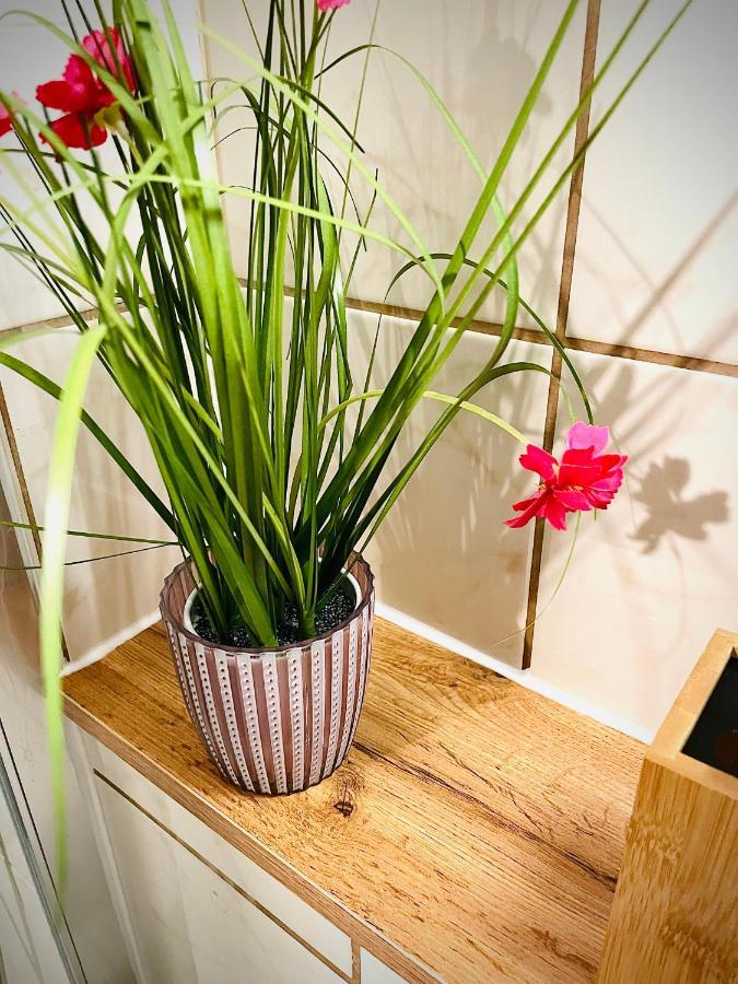Schoene Ruhige - In Mit Kamin - Nahe Karolinentalbruecke - Hund Ja Appartement Eisenach