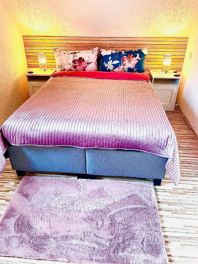 Apartment Schöne Ruhige - In Mit Kamin - Nahe Karolinentalbrücke *